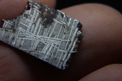 Météorite: SIDERITE iron IVA - MUONIONALUSTA