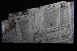 Météorite: SIDERITE iron IVA - MUONIONALUSTA