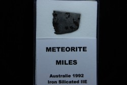 Météorite: SIDERITE iron IIE - MILES