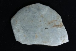 Météorite: SIDERITE iron IVA - GIBEON