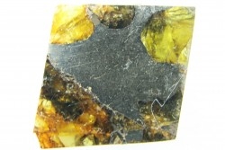 Météorite: PALLASITE - ESQUEL