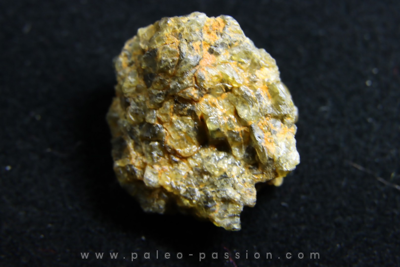 Météorite: ACHONDRITE HED DIOGENITE - NWA7831