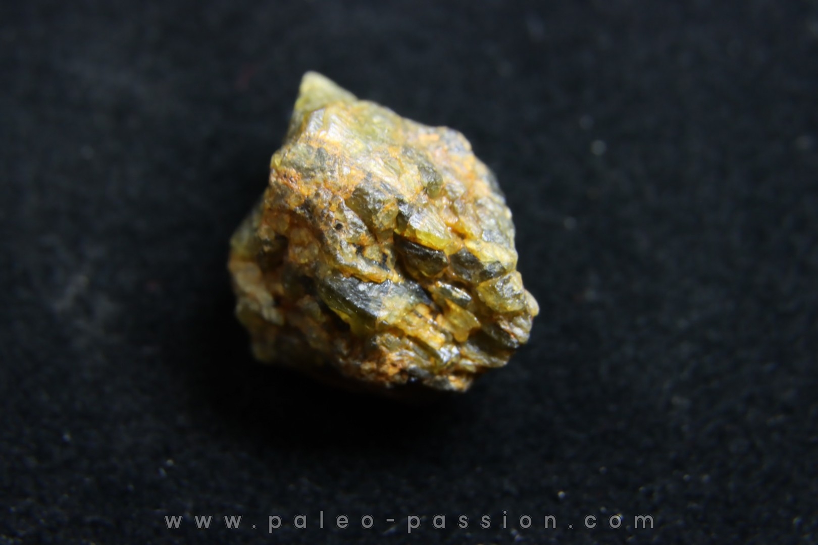 Météorite: ACHONDRITE HED DIOGENITE - NWA7831