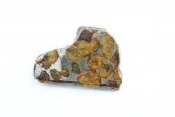 Météorite: PALLASITE - SERICHO