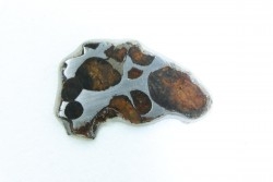 Météorite: PALLASITE - SERICHO