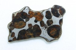 Météorite: PALLASITE - SERICHO