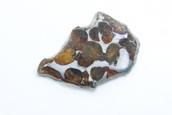 Météorite: PALLASITE - SERICHO