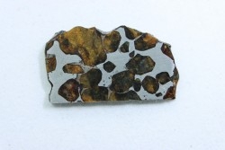 Météorite: PALLASITE - SERICHO