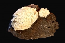 Baryte - Les Malines, Saint-Laurent-Le-Minier, Gard - FRANCE
