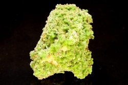 Pyromorphite - Saint Salvy (47) FRANCE