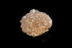 Diamant brut- Bakwanga, Kasai, République démocratique du Congo
