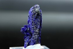 Azurite  - Morocco