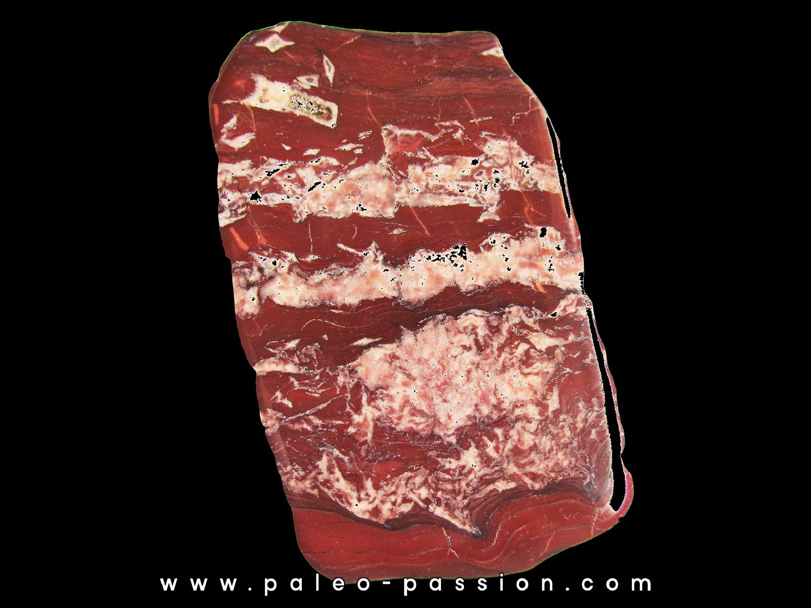 Stromatolithe - Michigan USA (2)