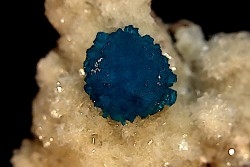 Cavansite sur stilbite - Wagholi, Poona, Maharashtra, Inde