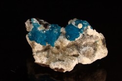 Cavansite sur stilbite - Wagholi, Poona, Maharashtra, Inde