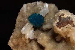 Cavansite sur stilbite - Wagholi, Poona, Maharashtra, Inde