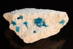 Cavansite sur stilbite - Wagholi, Poona, Maharashtra, Inde