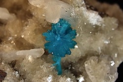 Pentagonite sur stilbite - Wagholi, Poona, Maharashtra, Inde