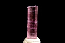 Tourmaline Elbaïte - Minas Gerais, Brésil