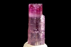 Tourmaline Elbaïte - Minas Gerais, Brésil