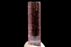 Tourmaline Elbaïte - Minas Gerais, Brésil
