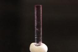 Tourmaline Elbaïte - Minas Gerais, Brésil