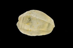 SAPHIR - Sri-Lanka