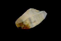 SAPHIR - Sri-Lanka