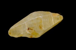 SAPHIR - Sri-Lanka