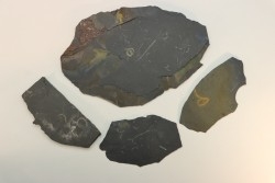 GRAPTOLITES  Silurien - Espagne