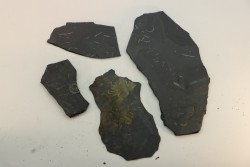 GRAPTOLITES  Silurian - Spain