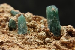 Grandidierite sur gangue, Tranomaro, Madagascar