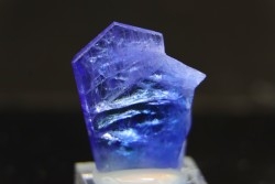ZOISITE var TANZANITE - Merelani Hills, Arusha Province, TANZANIE