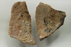 DINOSAUR egg shell MEGALOOLITHUS  - from dinosaur TITANOSAURE  HYPSELOSAURUS