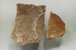DINOSAUR egg shell MEGALOOLITHUS  - from dinosaur TITANOSAURE  HYPSELOSAURUS