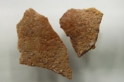 DINOSAUR egg shell MEGALOOLITHUS  - from dinosaur TITANOSAURE  HYPSELOSAURUS