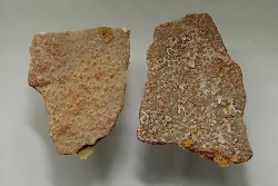 DINOSAUR egg shell MEGALOOLITHUS  - from dinosaur TITANOSAURE  HYPSELOSAURUS