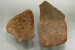 DINOSAUR egg shell MEGALOOLITHUS  - from dinosaur TITANOSAURE  HYPSELOSAURUS