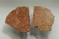 DINOSAUR egg shell MEGALOOLITHUS  - from dinosaur TITANOSAURE  HYPSELOSAURUS