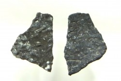 coquilles d œuf de dinosaure à bec de canard: Maiasaura