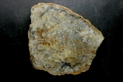 coprolithe de dinosaure - jurassique - Morrison Formation