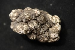 dinosaur coprolithe - jurassic - Morrison Formation - Wyoming, USA