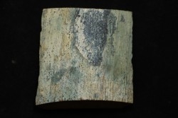 Mammoth ivory - Alaska