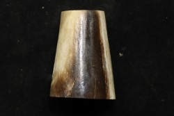 Mammoth ivory - Alaska