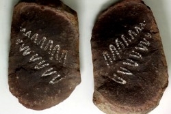 Nodule de fougère: PECOPTERIS - carbonifère - Mazon creek - USA