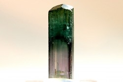 Tourmaline Elbaïte rose et verte - Cruzeiro mine, Minas Gerais – Brésil