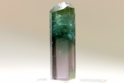 Tourmaline Elbaïte rose et verte - Cruzeiro mine, Minas Gerais – Brésil