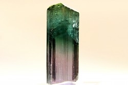 Tourmaline Elbaïte - green/pink - Lavra de Sapo, Ferruginha, Minas Gerais,  Brasil