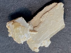 STOLZITE - mine de sainte Lucie, Lozere - FRANCE