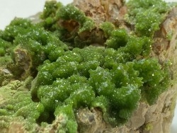Pyromorphite et quartz - Les Farges, FRANCE